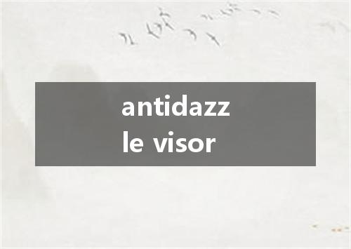 antidazzle visor是什么意思