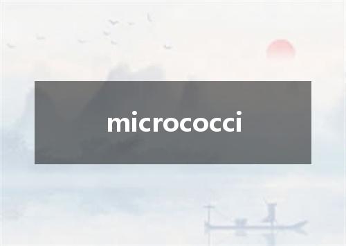 micrococci是什么意思