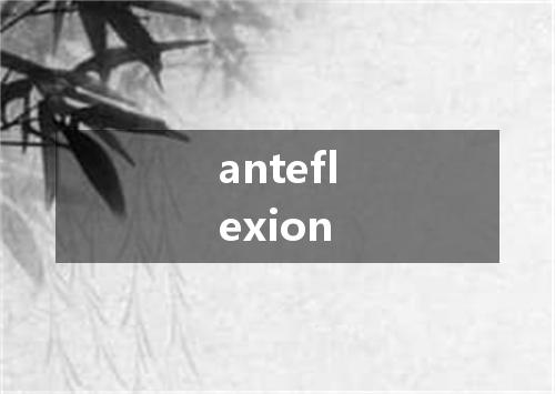 anteflexion是什么意思