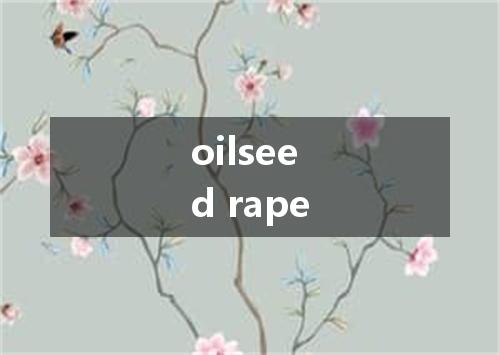oilseed rape是什么意思