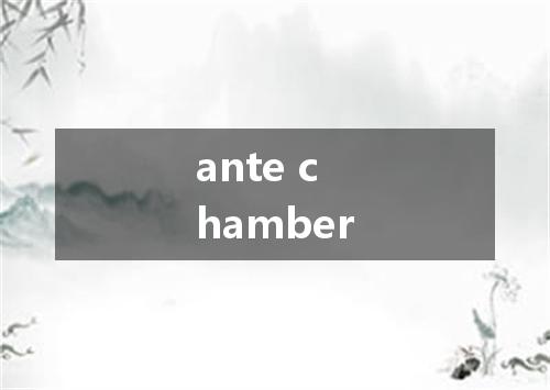ante chamber是什么意思