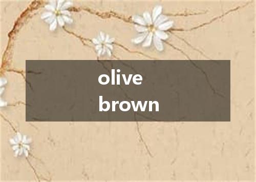 olive brown是什么意思