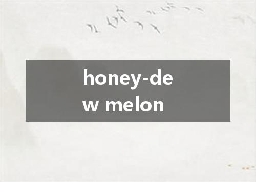 honey-dew melon是什么意思