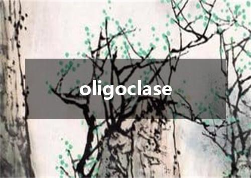 oligoclase是什么意思