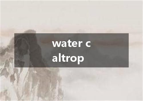 water caltrop是什么意思