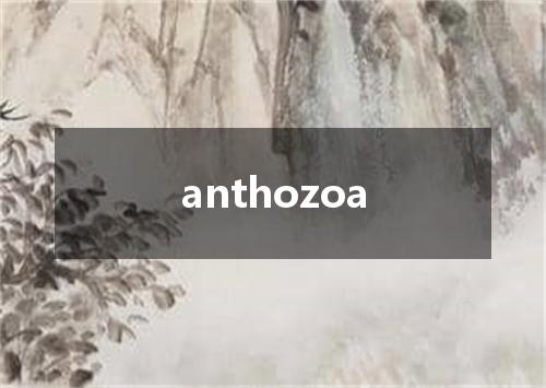 anthozoa是什么意思