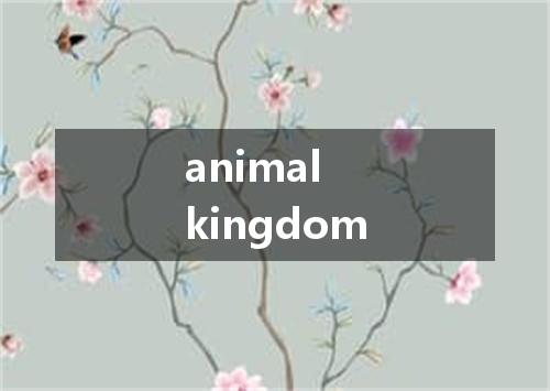 animal kingdom是什么意思