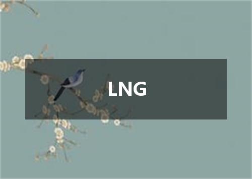 LNG是什么意思