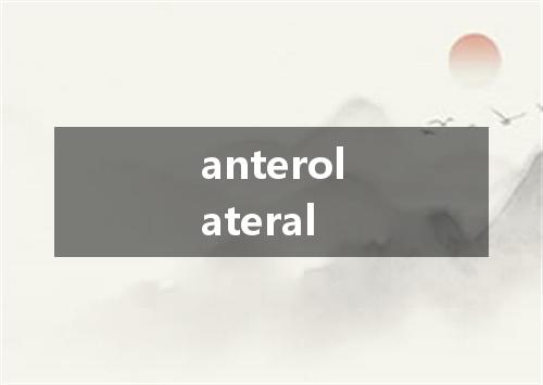 anterolateral是什么意思