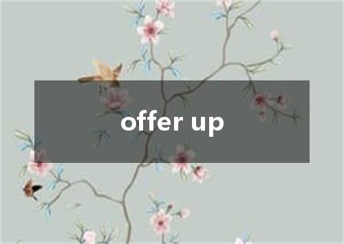 offer up是什么意思