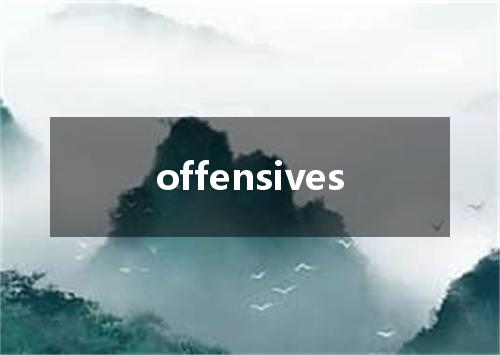 offensives是什么意思