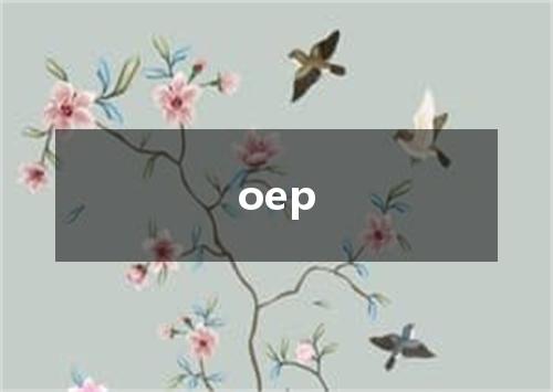 oep是什么意思