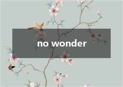 no wonder是什么意思