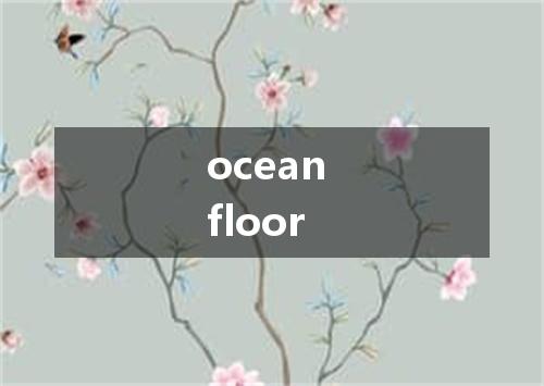 ocean floor是什么意思