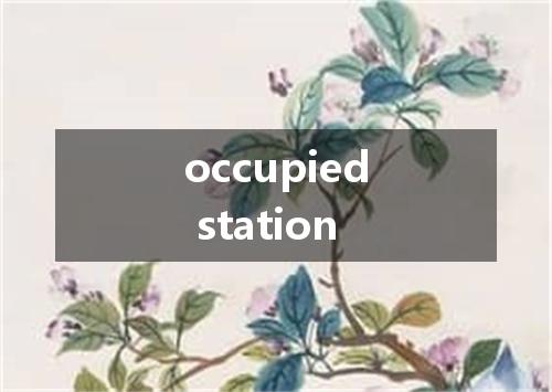 occupied station是什么意思