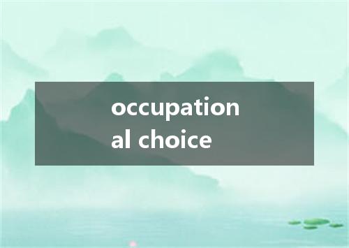 occupational choice是什么意思