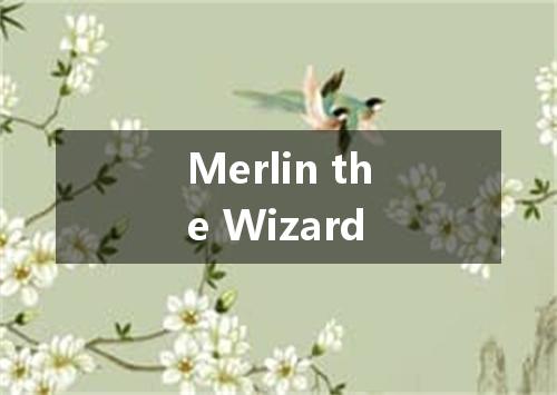 Merlin the Wizard是什么意思