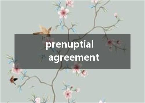 prenuptial agreement是什么意思