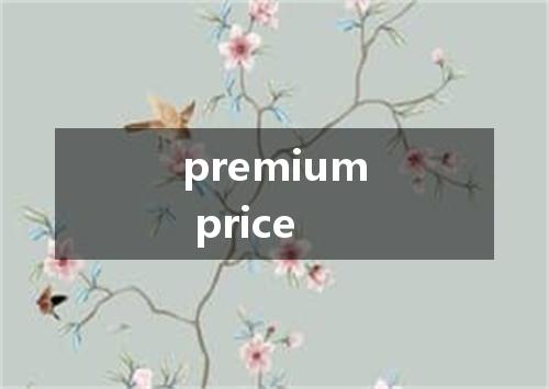 premium price是什么意思