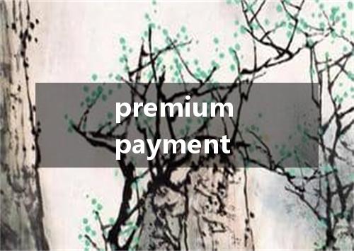 premium payment是什么意思