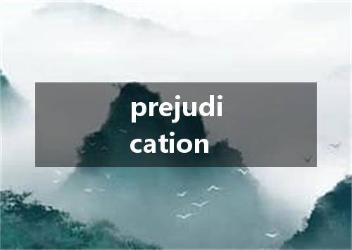 prejudication是什么意思
