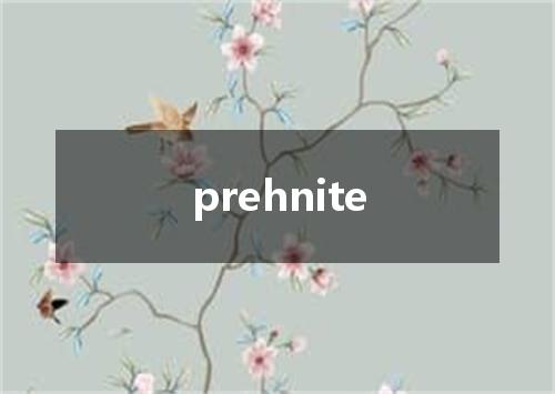 prehnite是什么意思