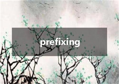 prefixing是什么意思