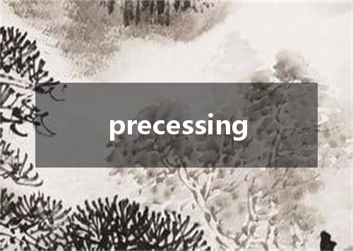 precessing是什么意思
