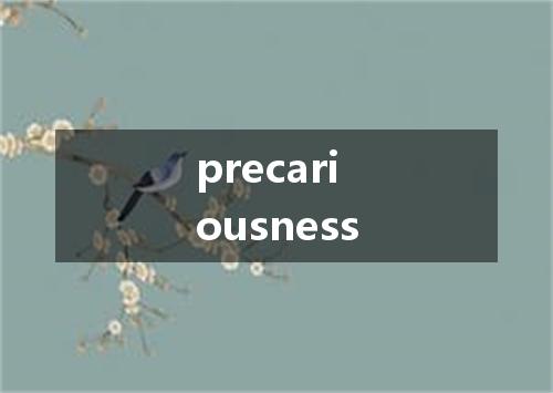 precariousness是什么意思
