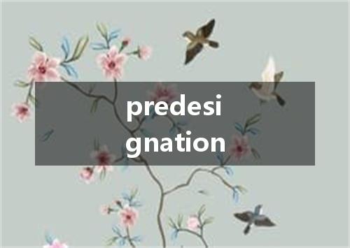 predesignation是什么意思