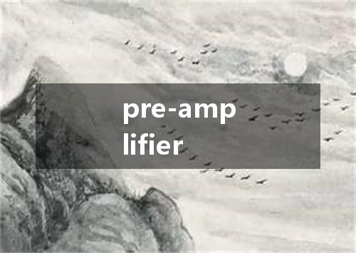 pre-amplifier是什么意思