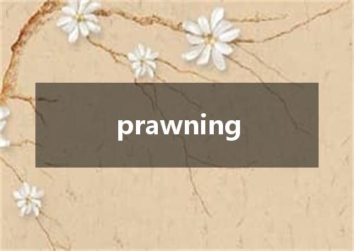 prawning是什么意思