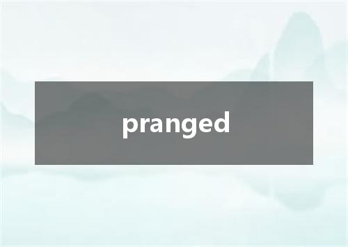 pranged是什么意思