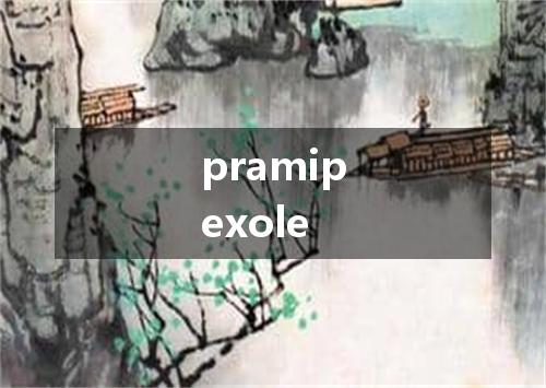 pramipexole是什么意思