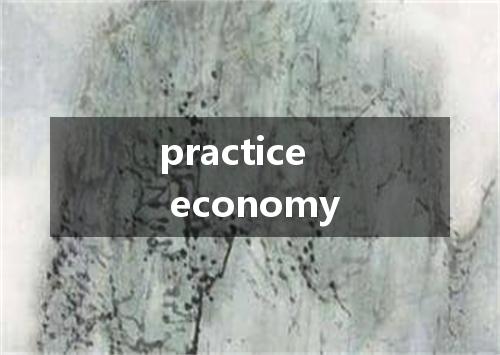 practice economy是什么意思