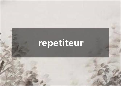 repetiteur是什么意思