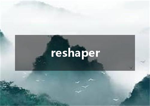 reshaper是什么意思