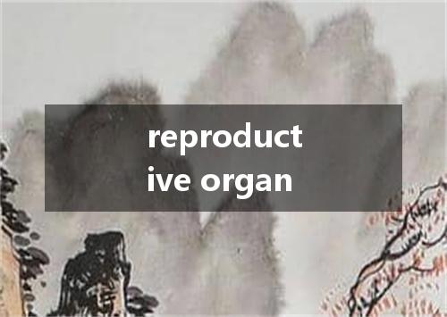 reproductive organ是什么意思