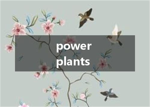 power plants是什么意思
