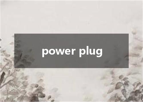 power plug是什么意思