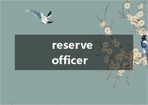 reserve officer是什么意思