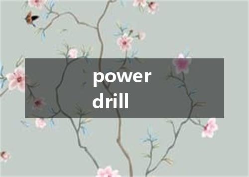 power drill是什么意思