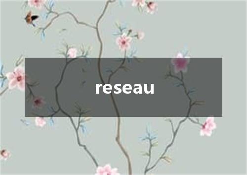 reseau是什么意思