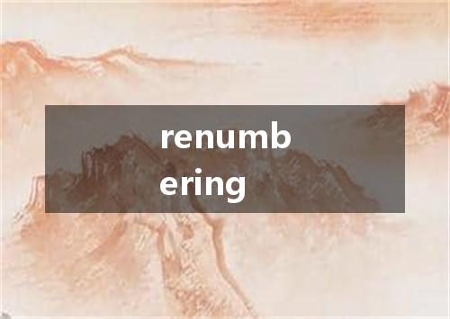 renumbering是什么意思
