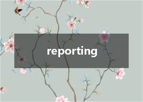 reporting是什么意思
