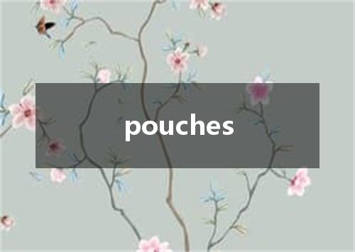 pouches是什么意思