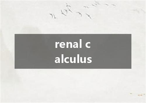 renal calculus是什么意思