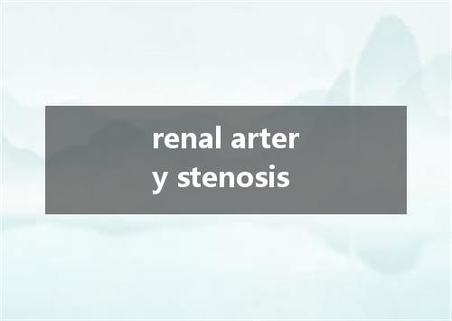 renal artery stenosis是什么意思