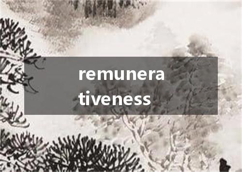 remunerativeness是什么意思
