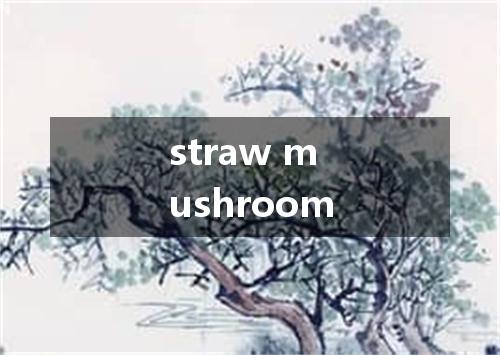 straw mushroom是什么意思